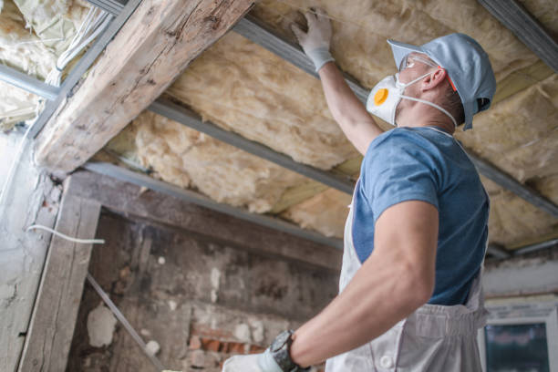 Best Insulation Contractor Near Me  in Ecru, MS