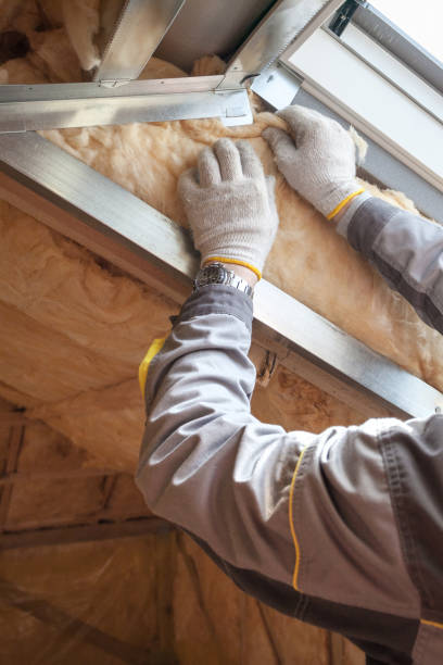 Best Insulation Inspection Services  in Ecru, MS
