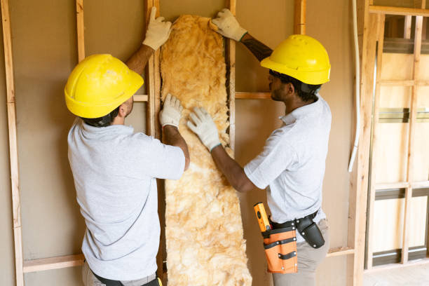 Best Garage Insulation Installation  in Ecru, MS