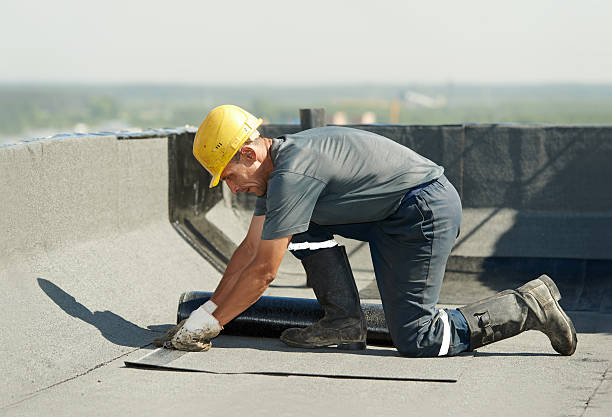 Best Wall Insulation Contractor  in Ecru, MS