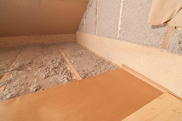 Best Home Insulation Services  in Ecru, MS